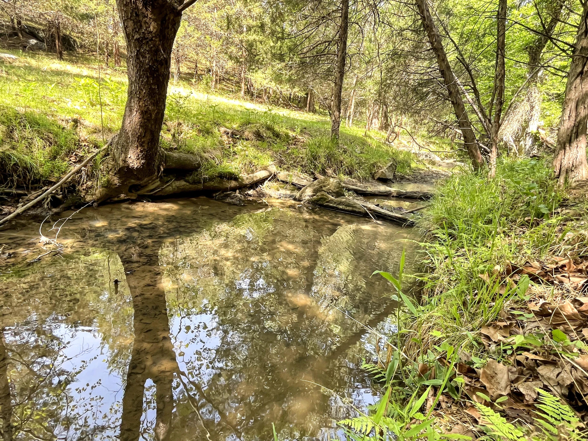 2556 Rock Cliff RD - Photo 25