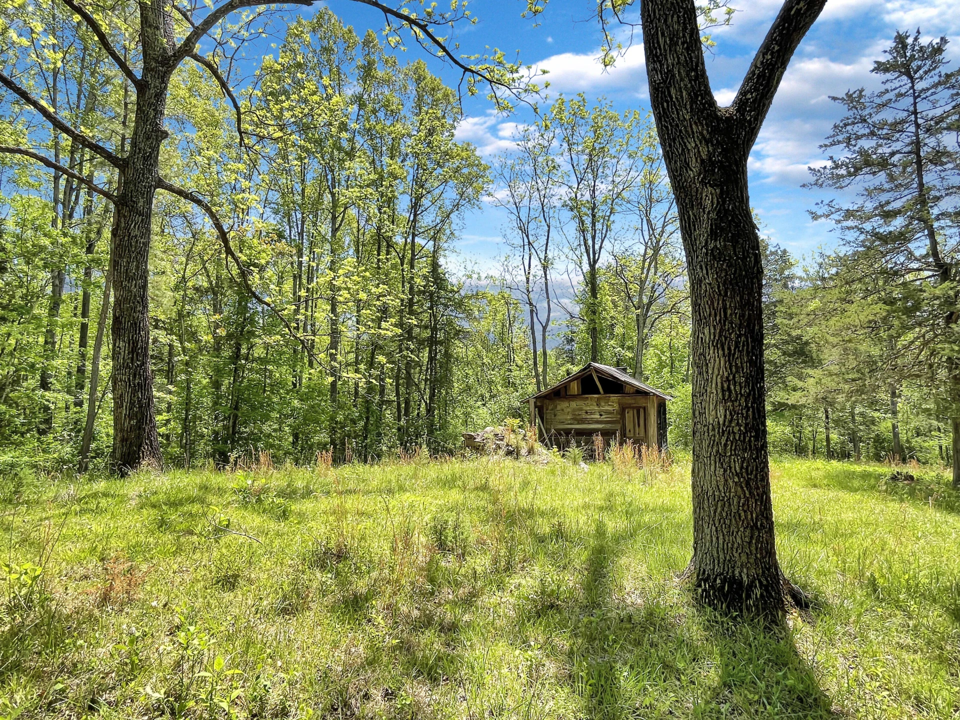 2556 Rock Cliff RD - Photo 26