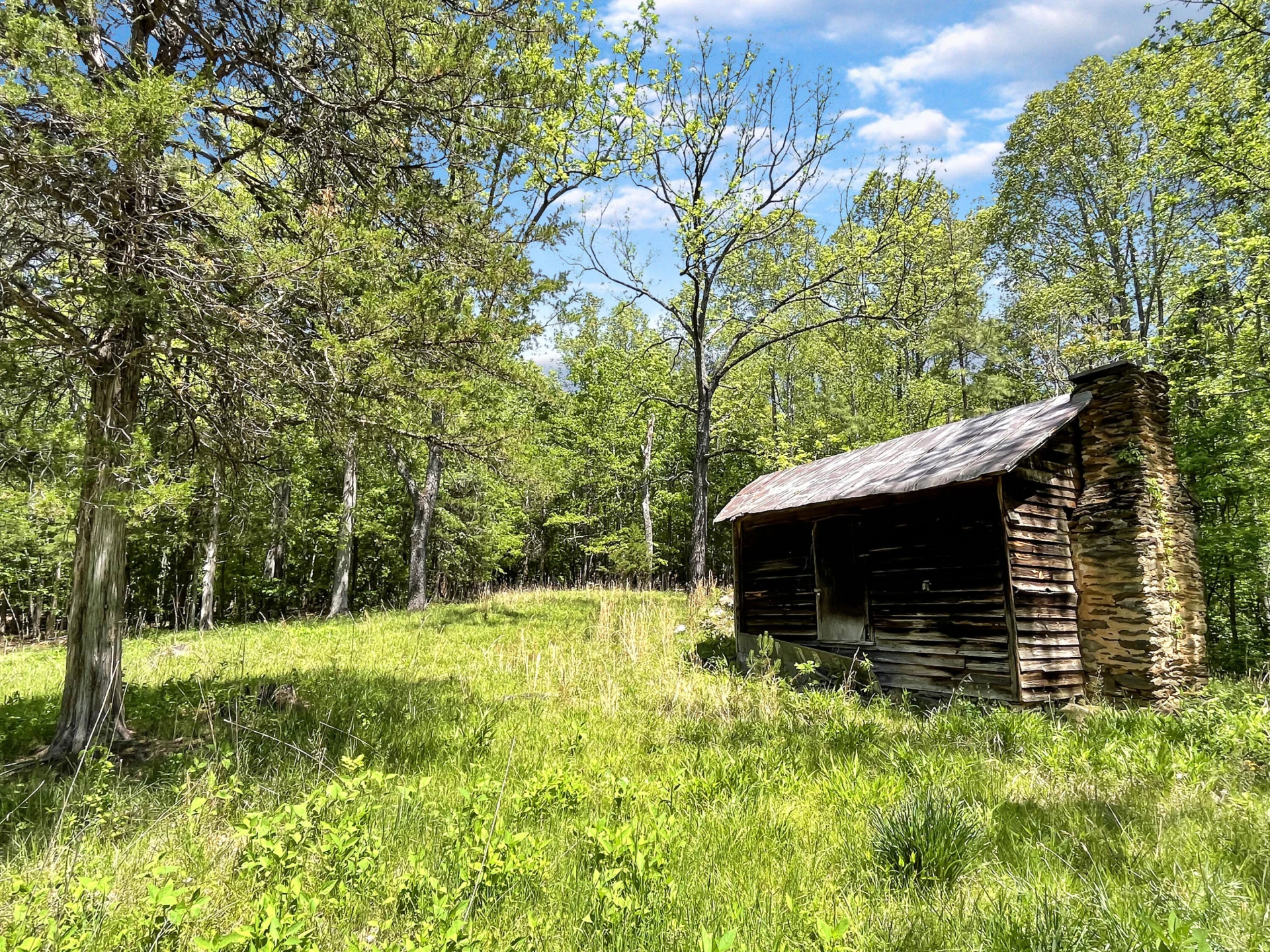2556 Rock Cliff RD - Photo 28