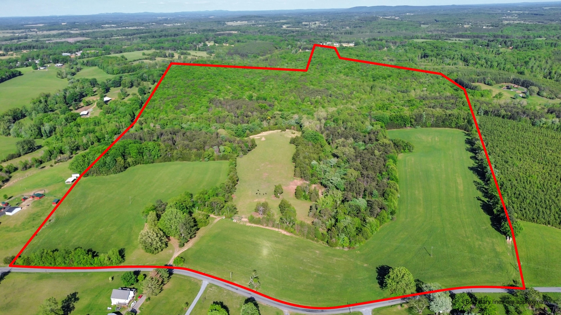 2556 Rock Cliff RD - Photo 5