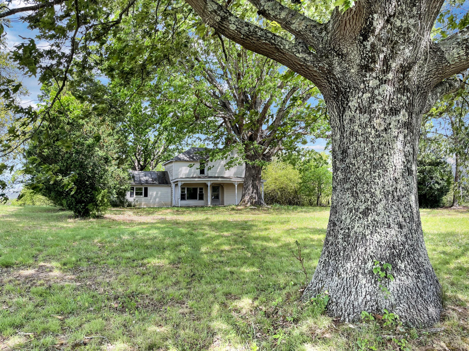 2556 Rock Cliff RD - Photo 9