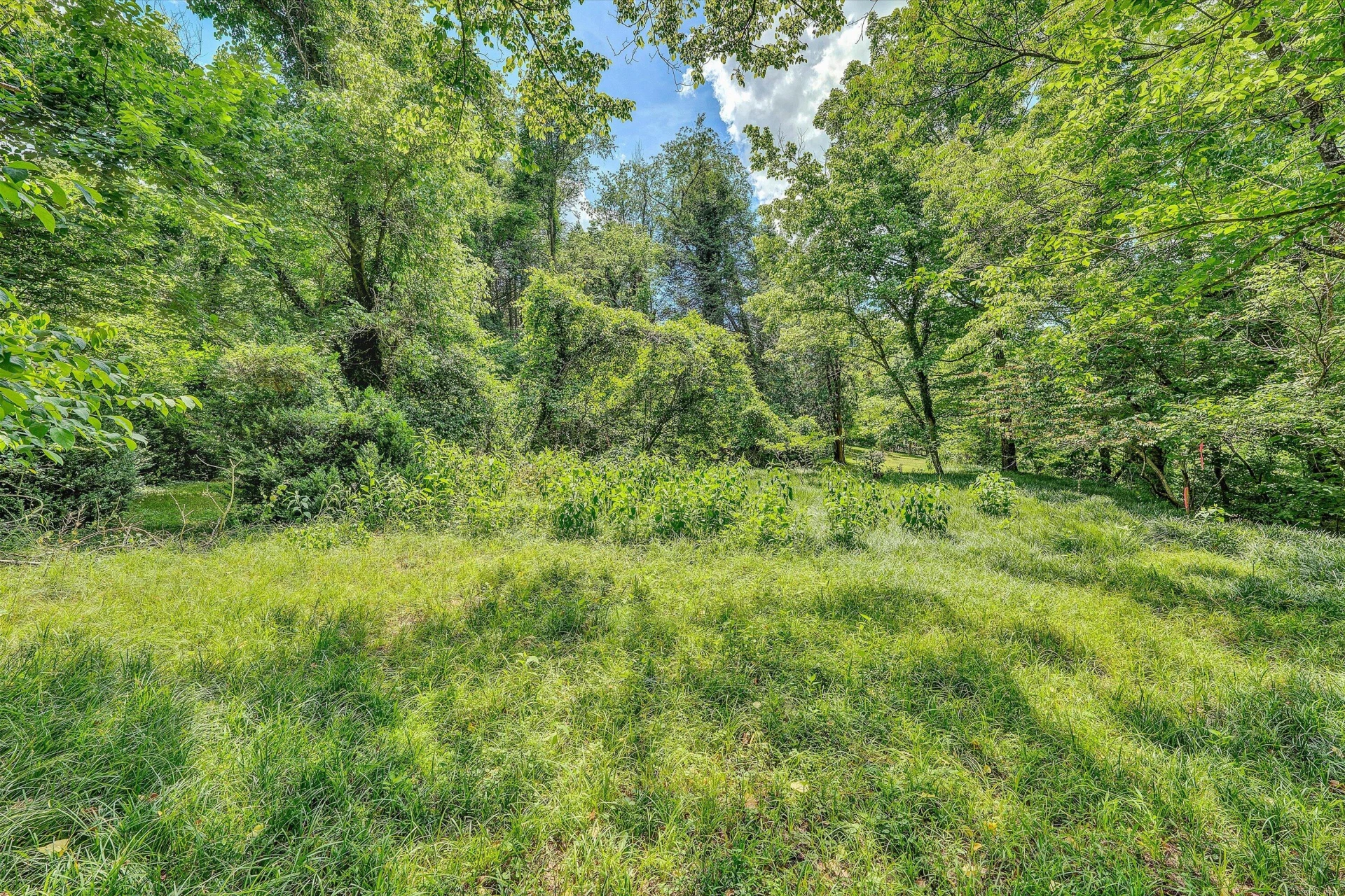 0 Greyholme LN - Photo 10