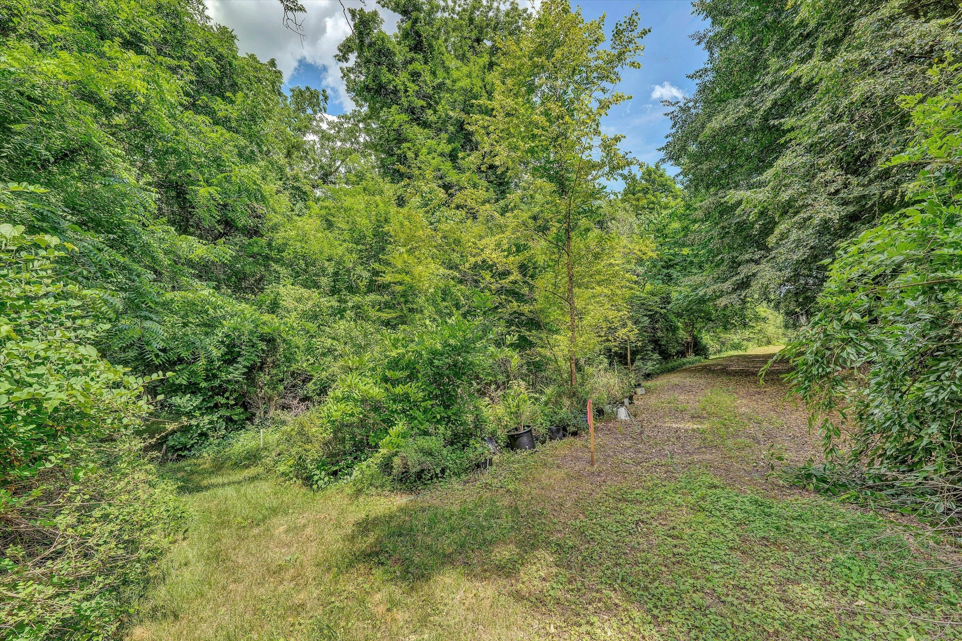 0 Greyholme LN - Photo 16