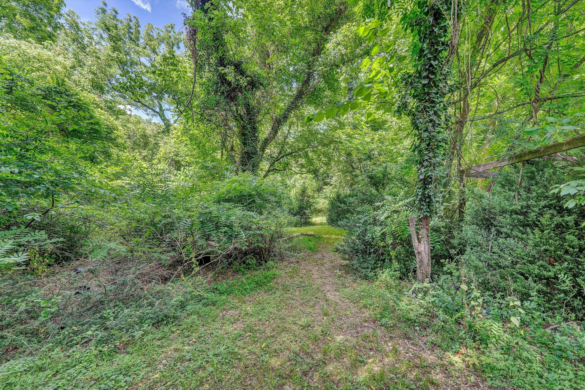 0 Greyholme LN - Photo 17