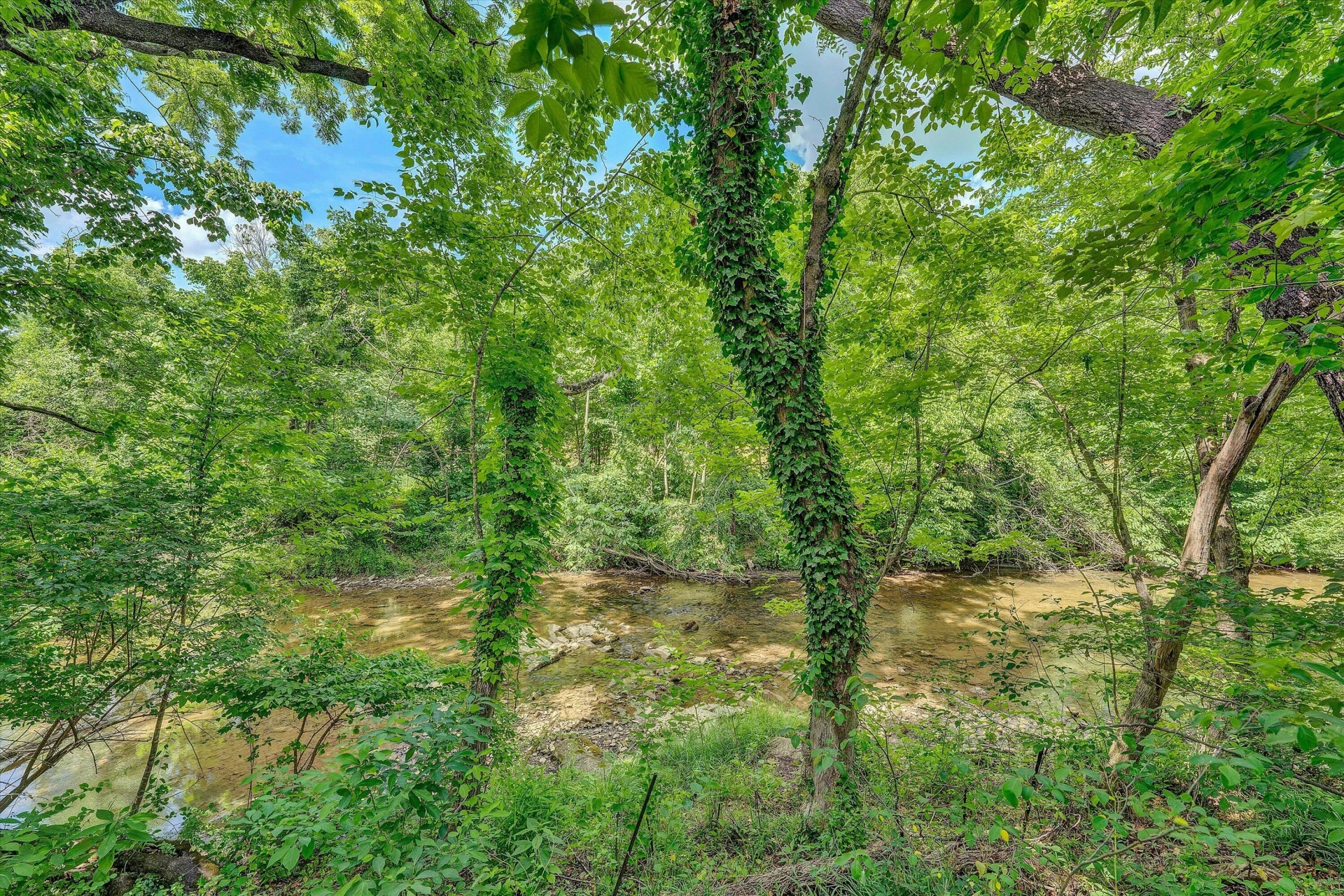 0 Greyholme LN - Photo 5