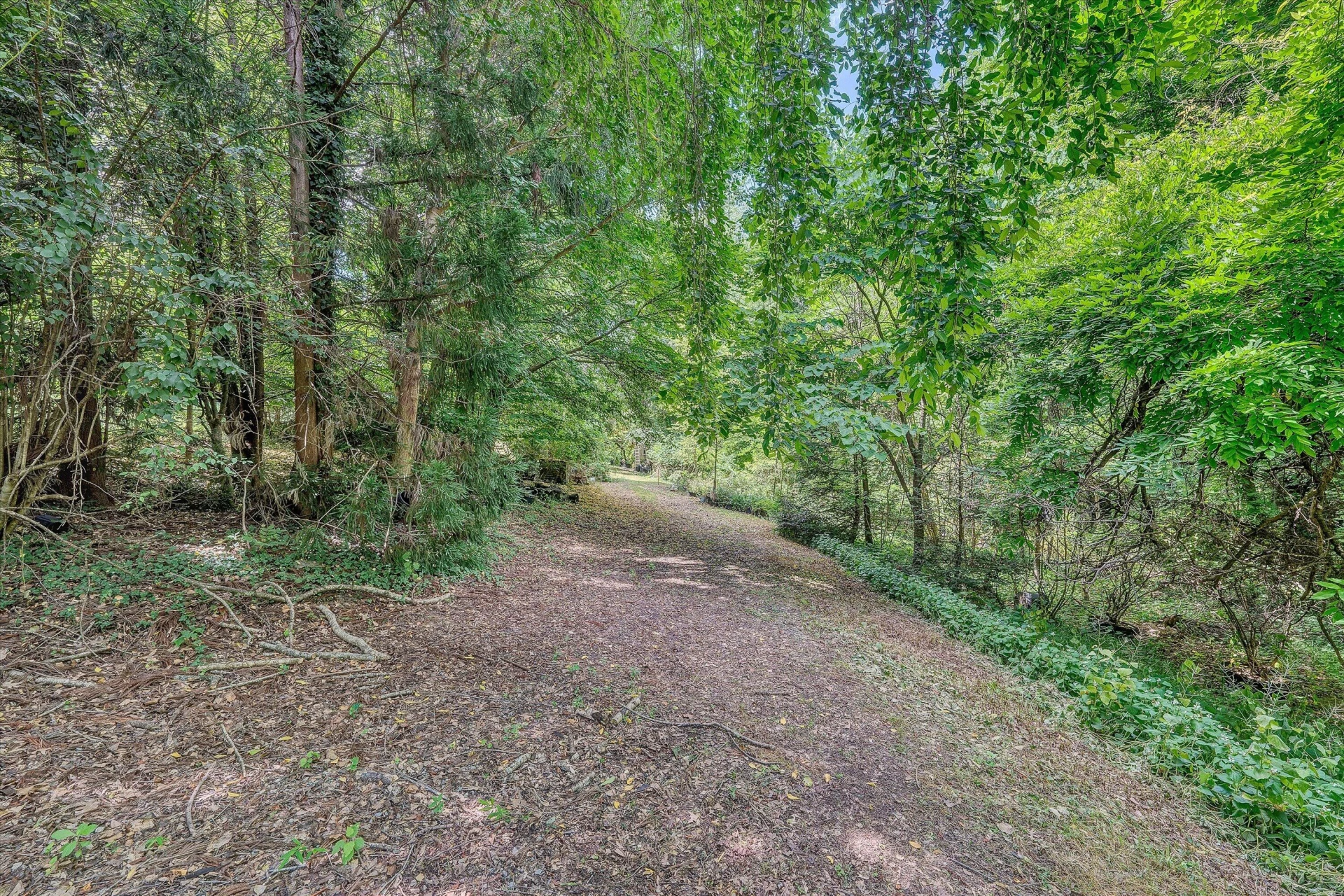 0 Greyholme LN - Photo 6