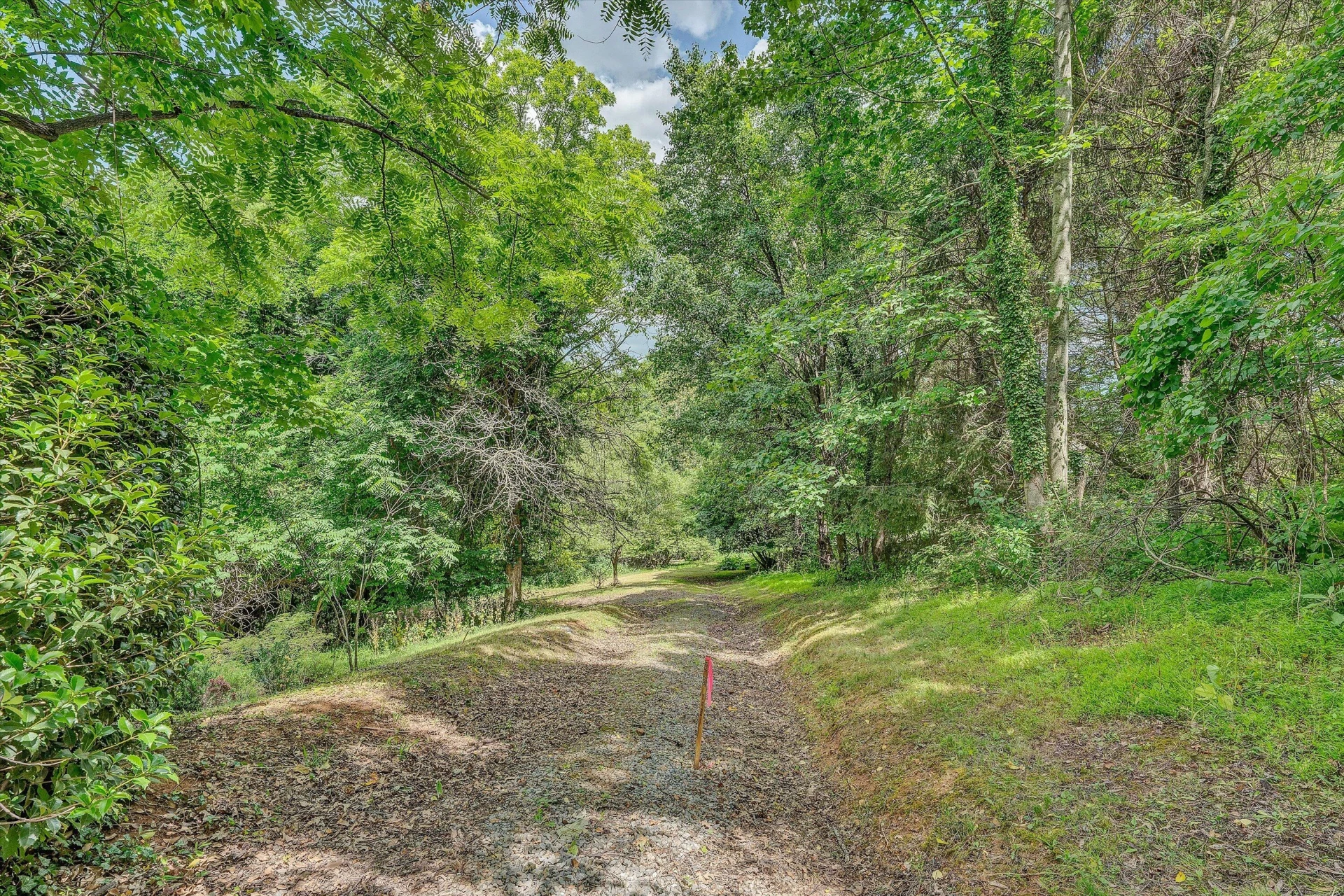 0 Greyholme LN - Photo 9
