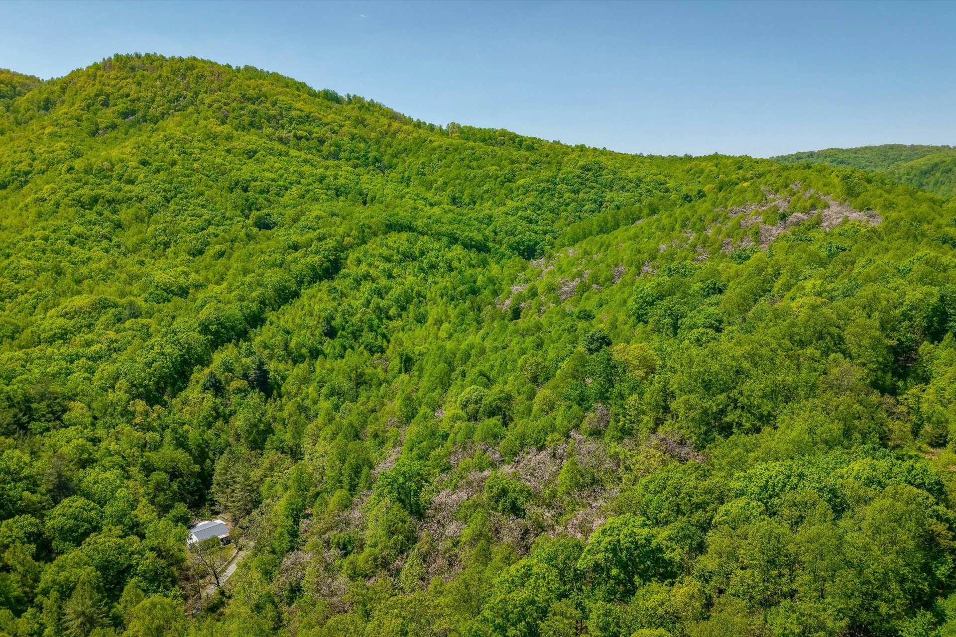TBD AUDREY LN BLUE RIDGE, VA 24064