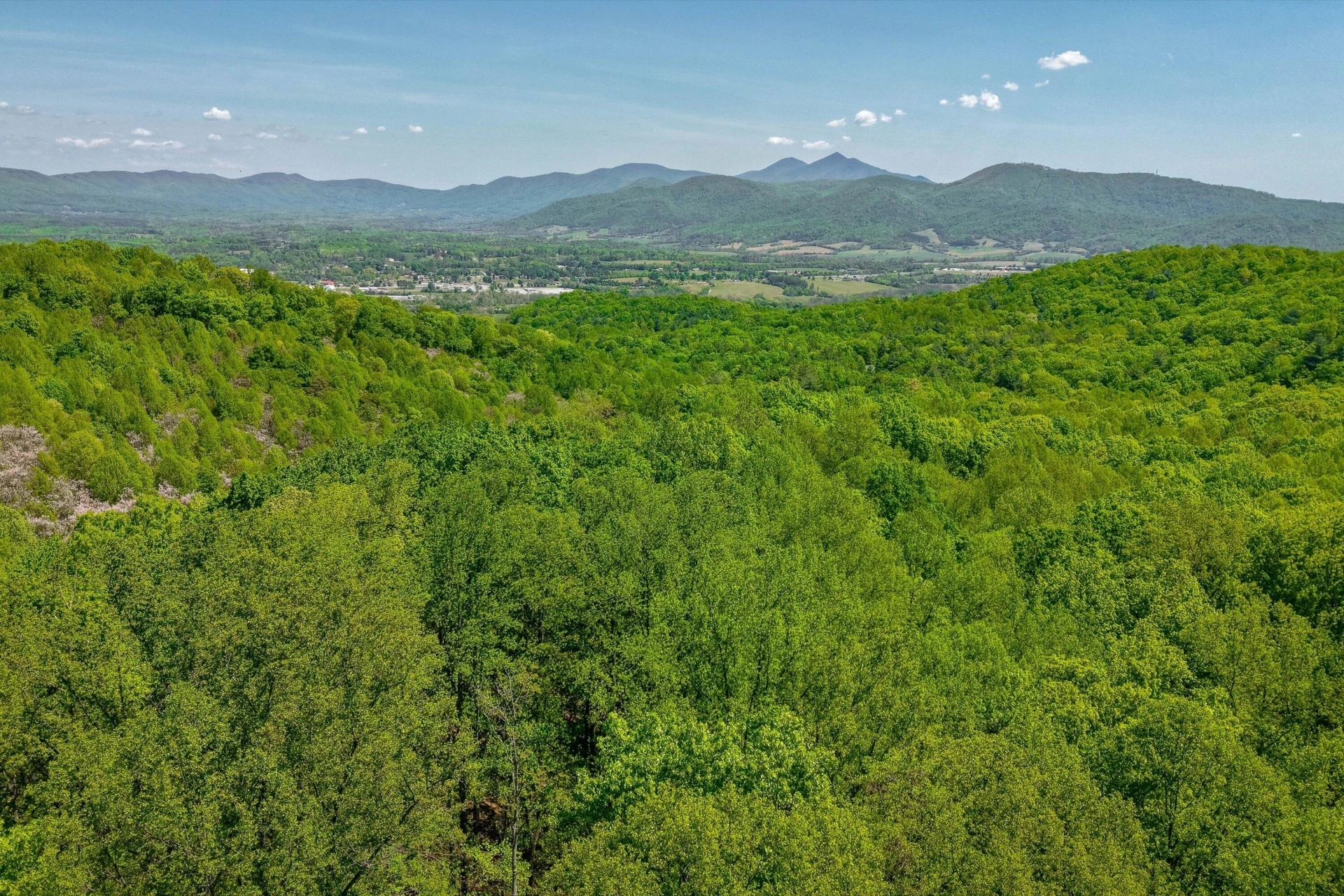 TBD AUDREY LN BLUE RIDGE, VA 24064 - Photo 16