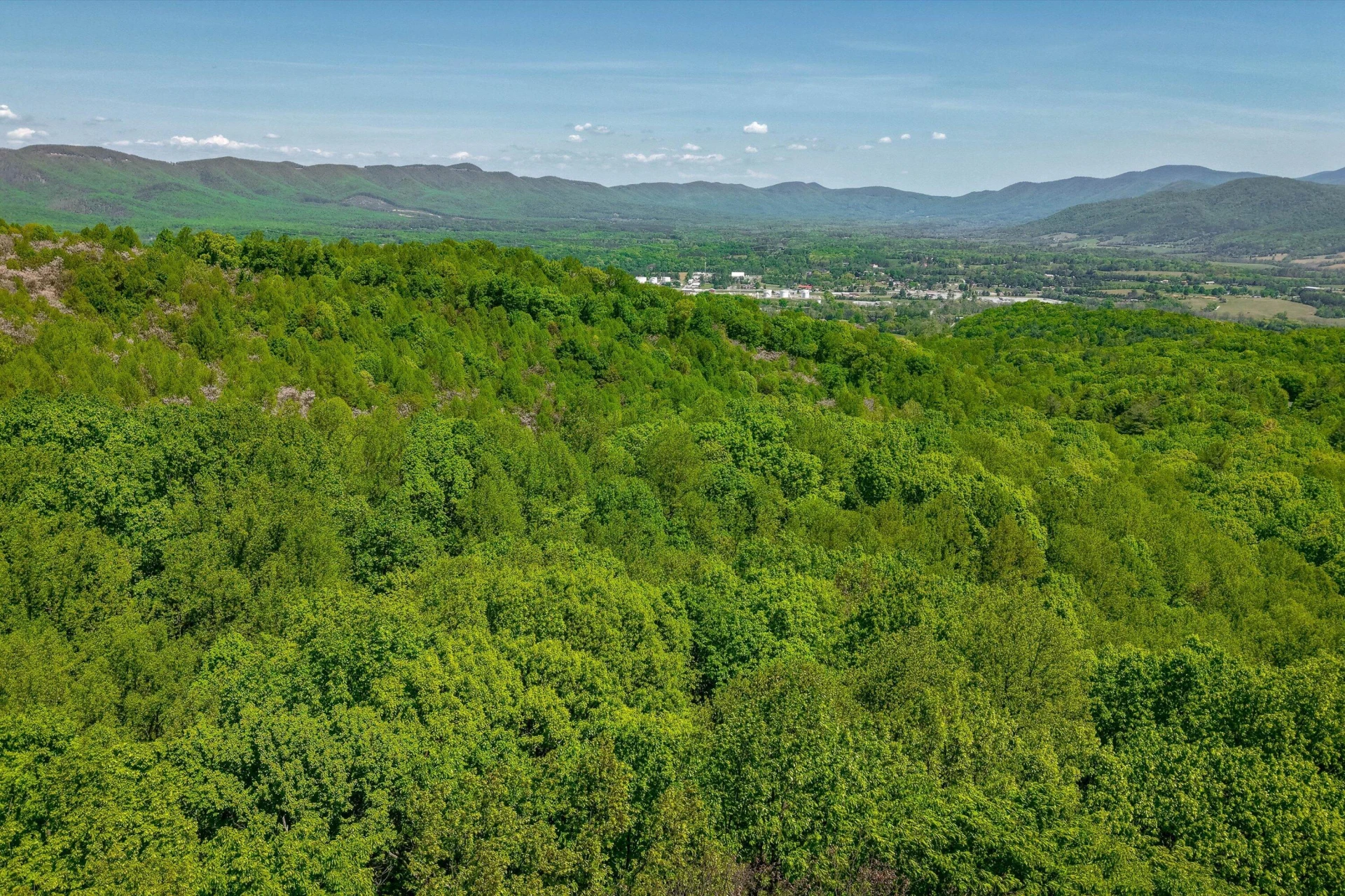 TBD AUDREY LN BLUE RIDGE, VA 24064 - Photo 18