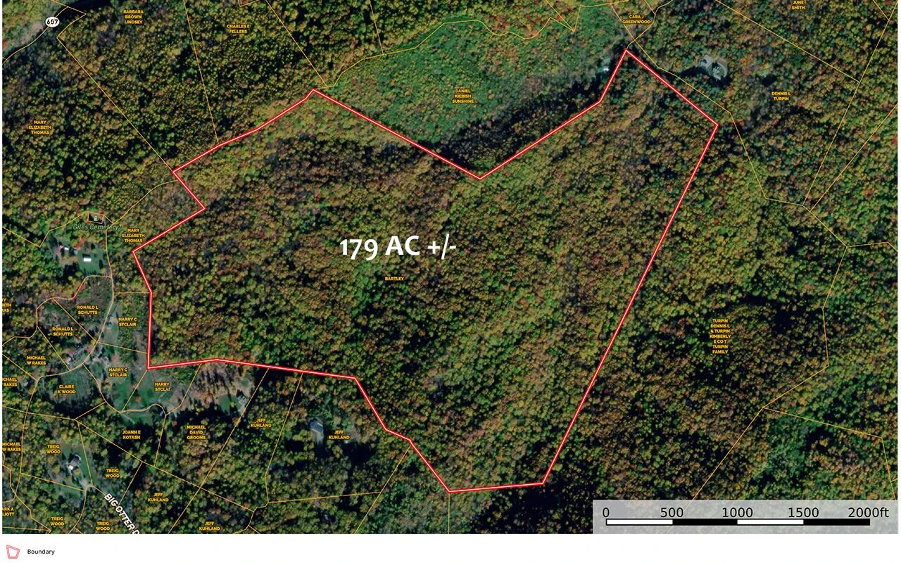 TBD AUDREY LN BLUE RIDGE, VA 24064 - Photo 2