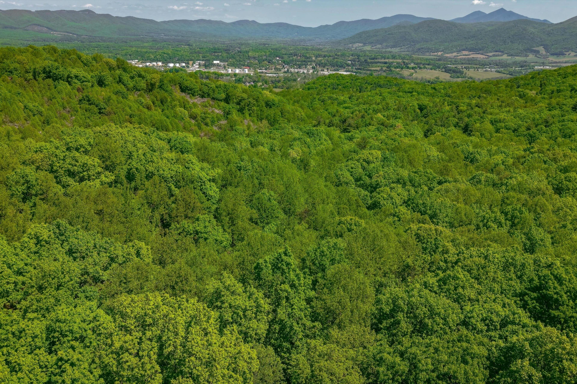 TBD AUDREY LN BLUE RIDGE, VA 24064 - Photo 20