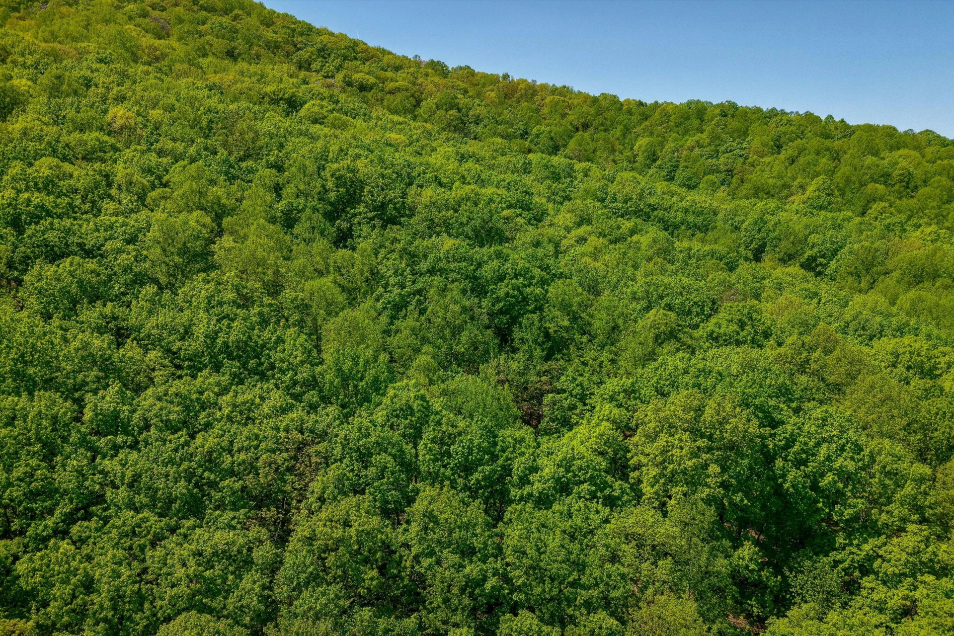 TBD AUDREY LN BLUE RIDGE, VA 24064 - Photo 22