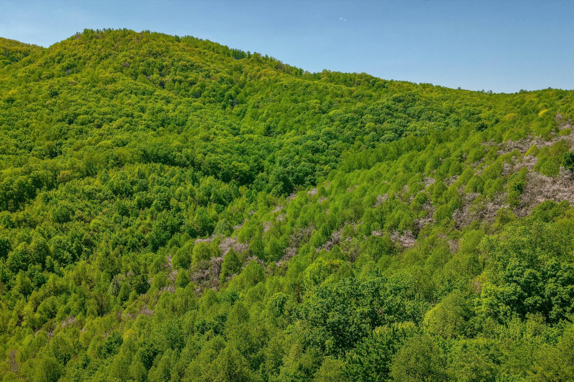 TBD AUDREY LN BLUE RIDGE, VA 24064 - Photo 24