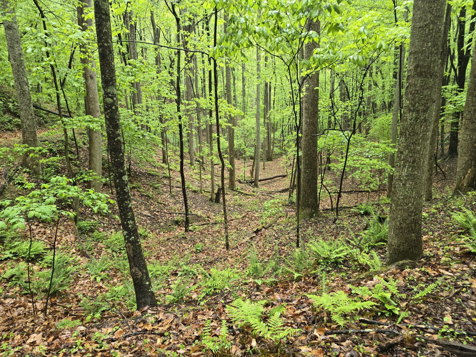 TBD AUDREY LN BLUE RIDGE, VA 24064 - Photo 25