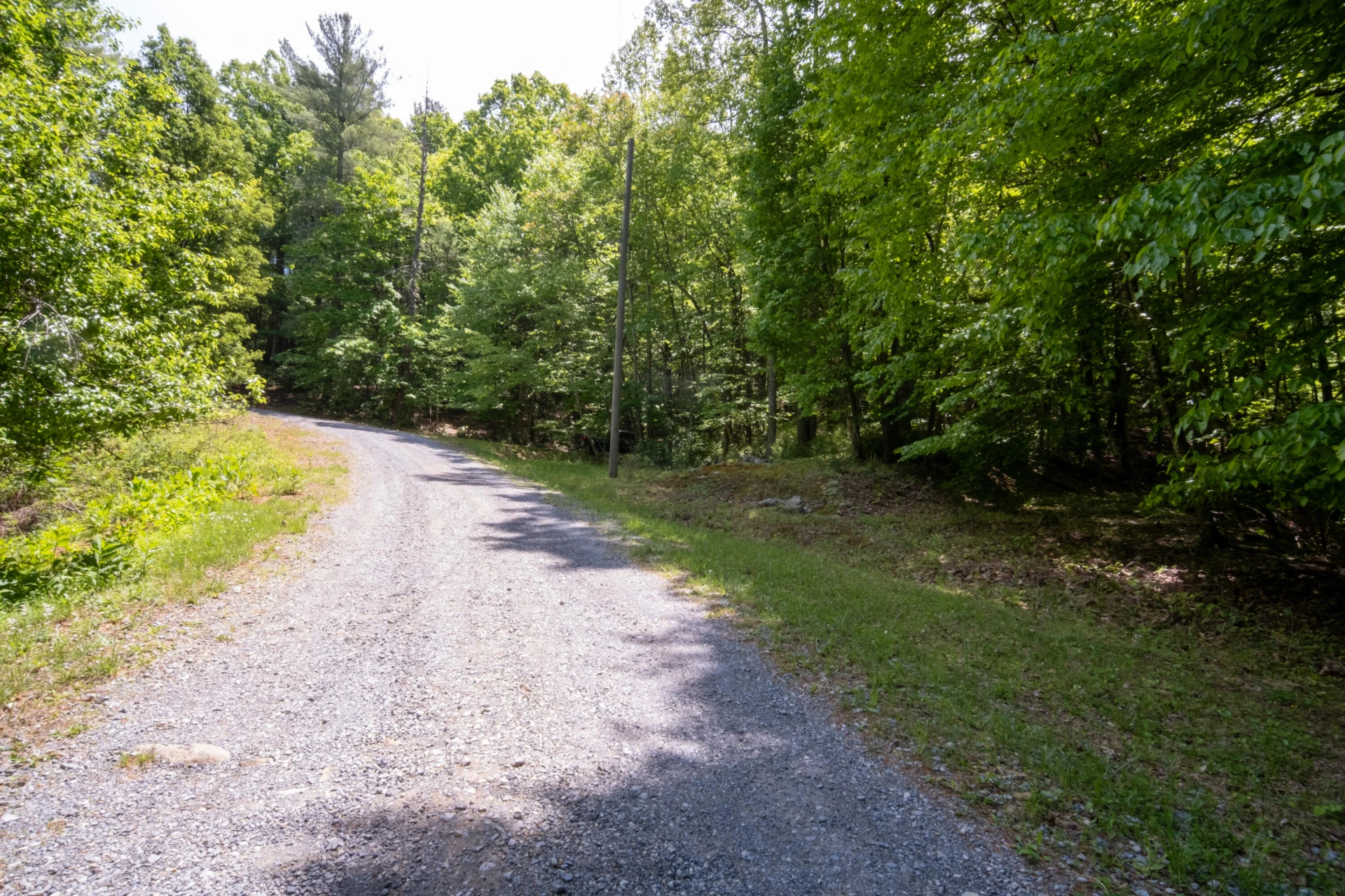 TBD AUDREY LN BLUE RIDGE, VA 24064 - Photo 4