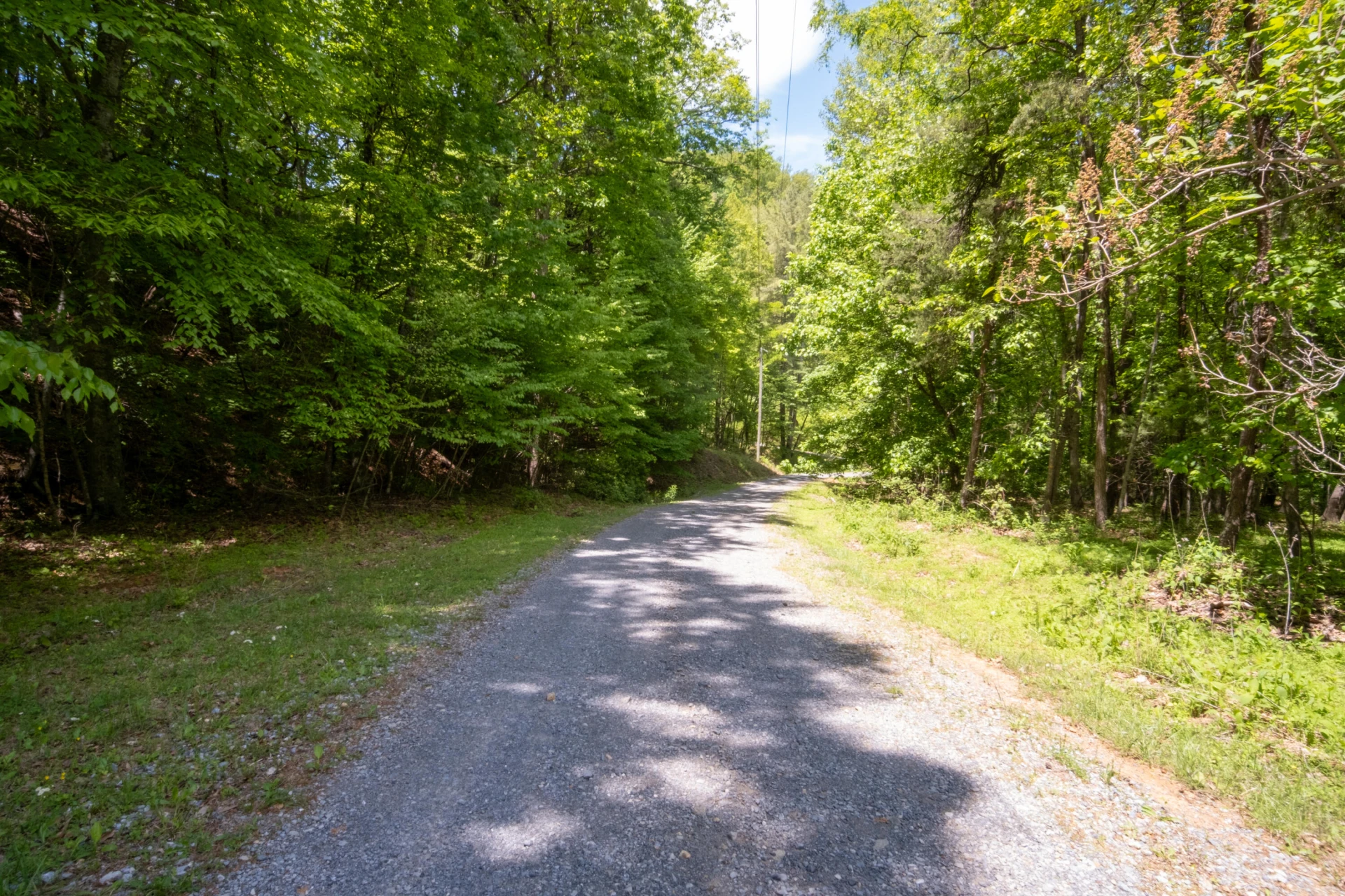 TBD AUDREY LN BLUE RIDGE, VA 24064 - Photo 5