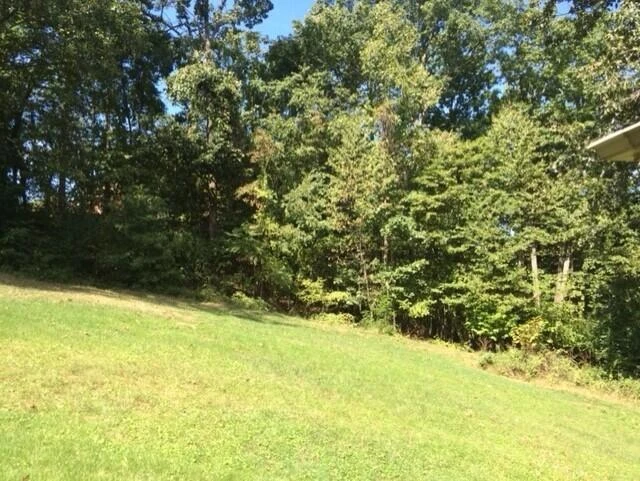 7429 Old Mill Plantation DR