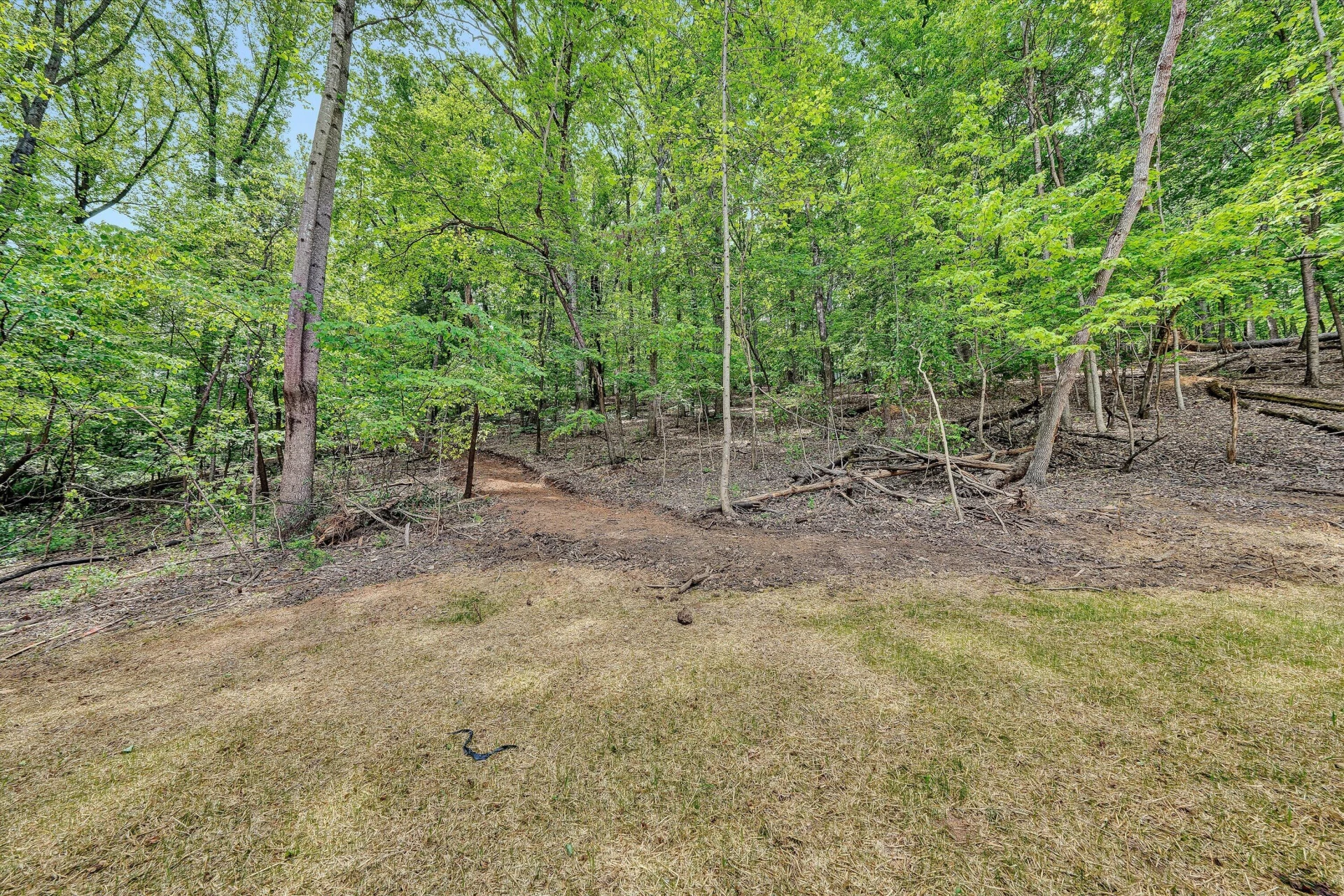 TR B Crossbow CIR - Photo 9