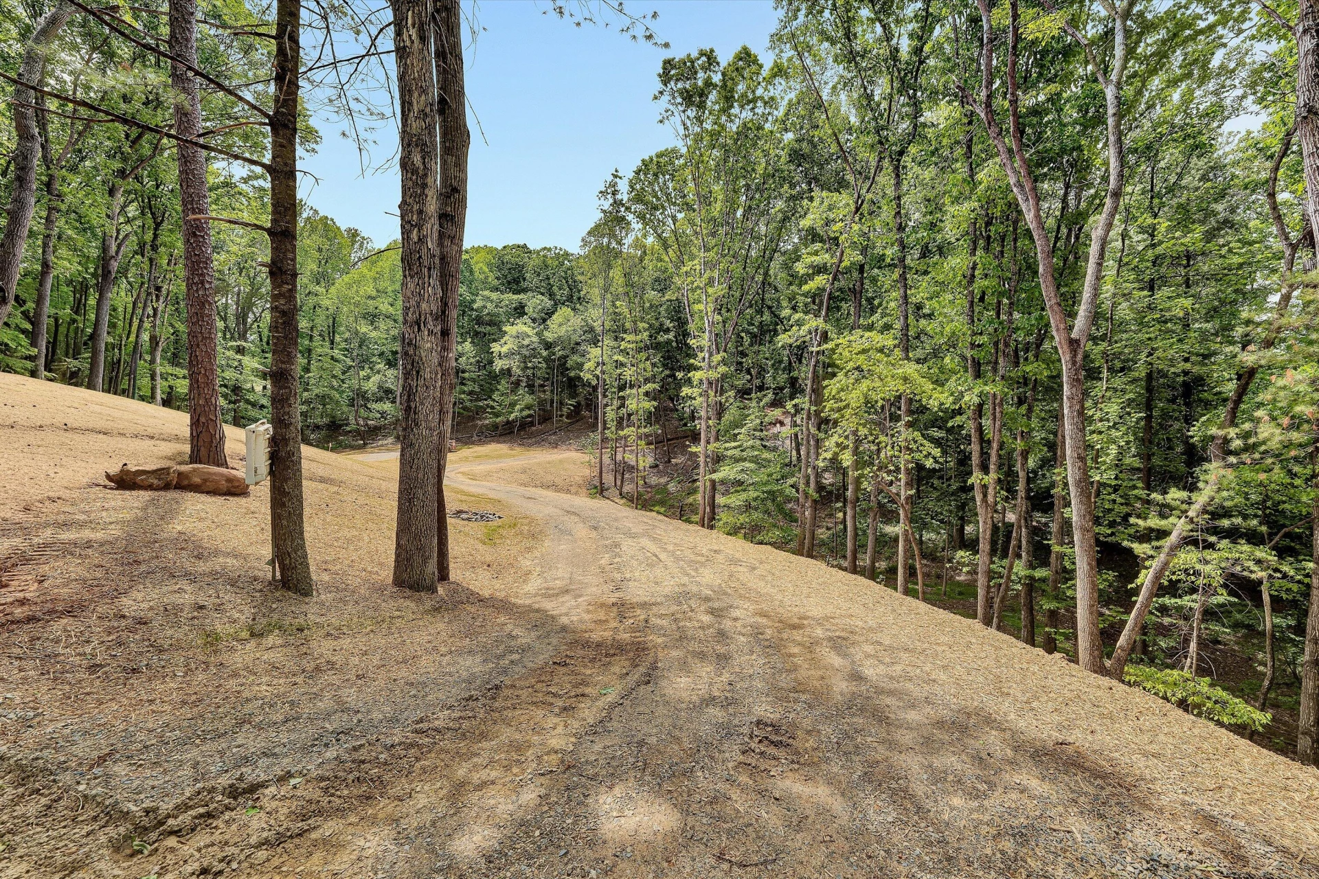 TR A Crossbow CIR - Photo 2