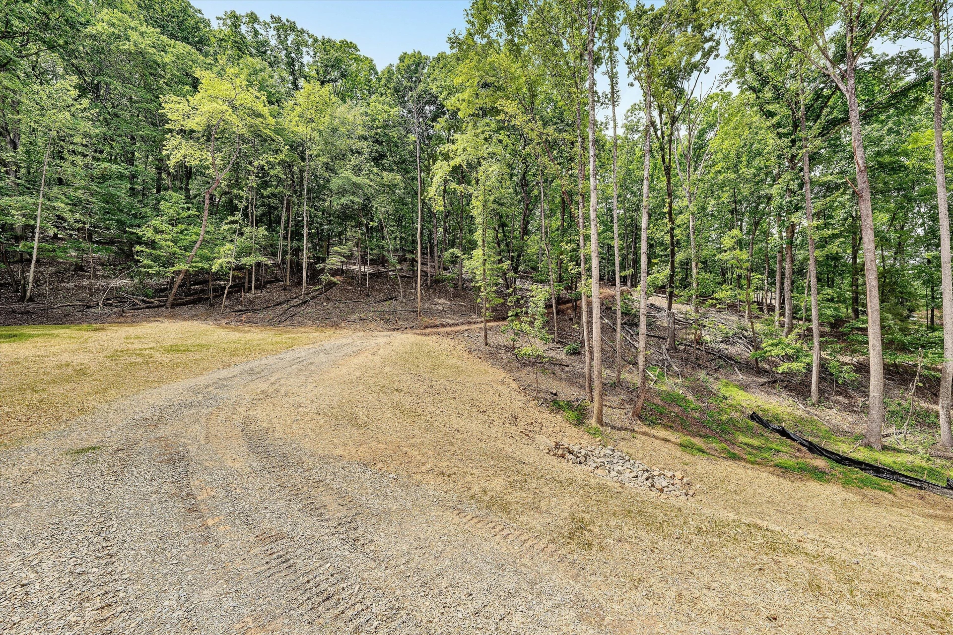 TR A Crossbow CIR - Photo 4