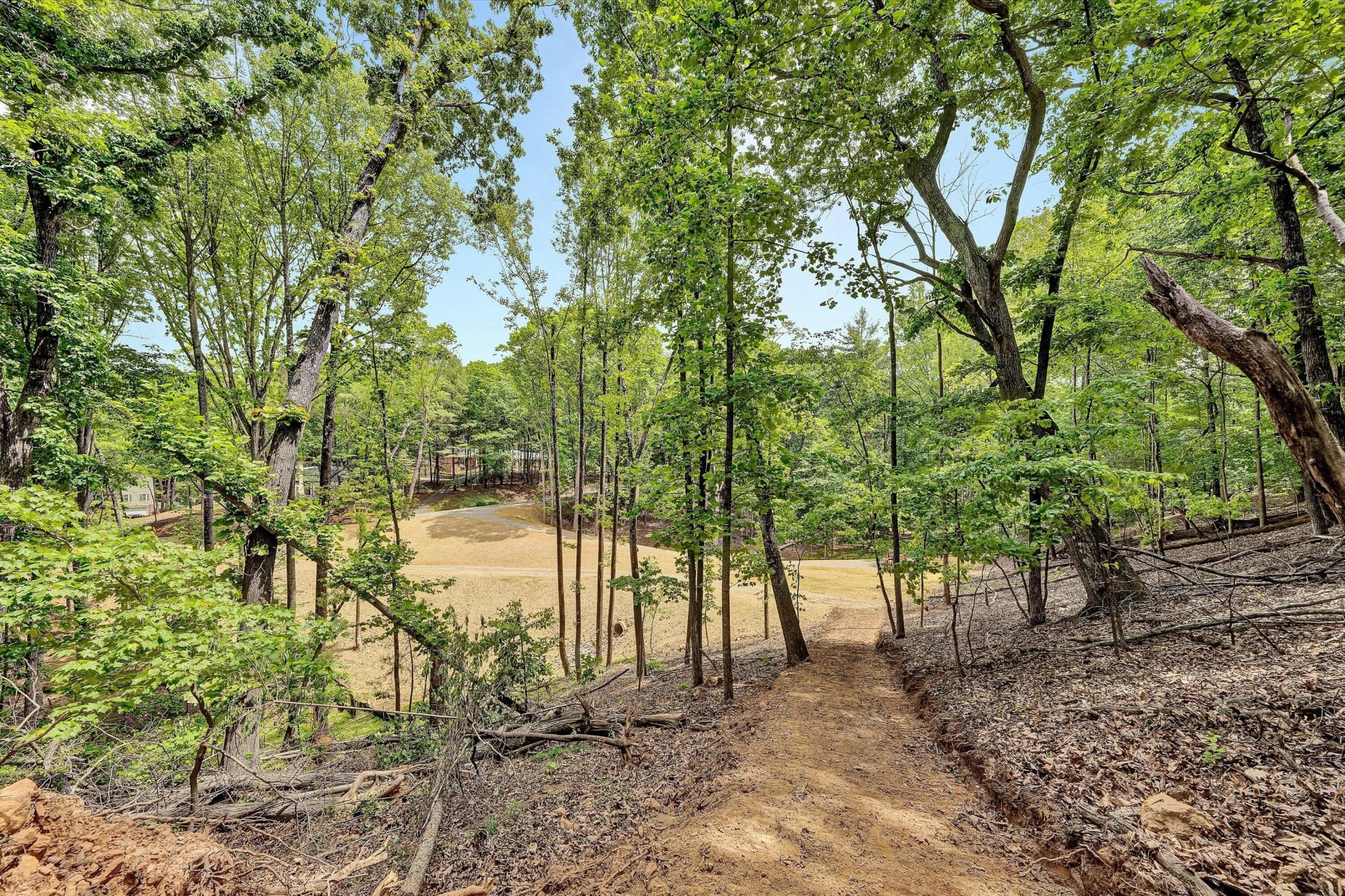 TR A Crossbow CIR - Photo 5