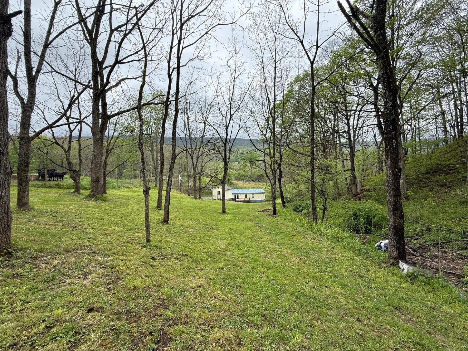 2468 Valley Center RD - Photo 25
