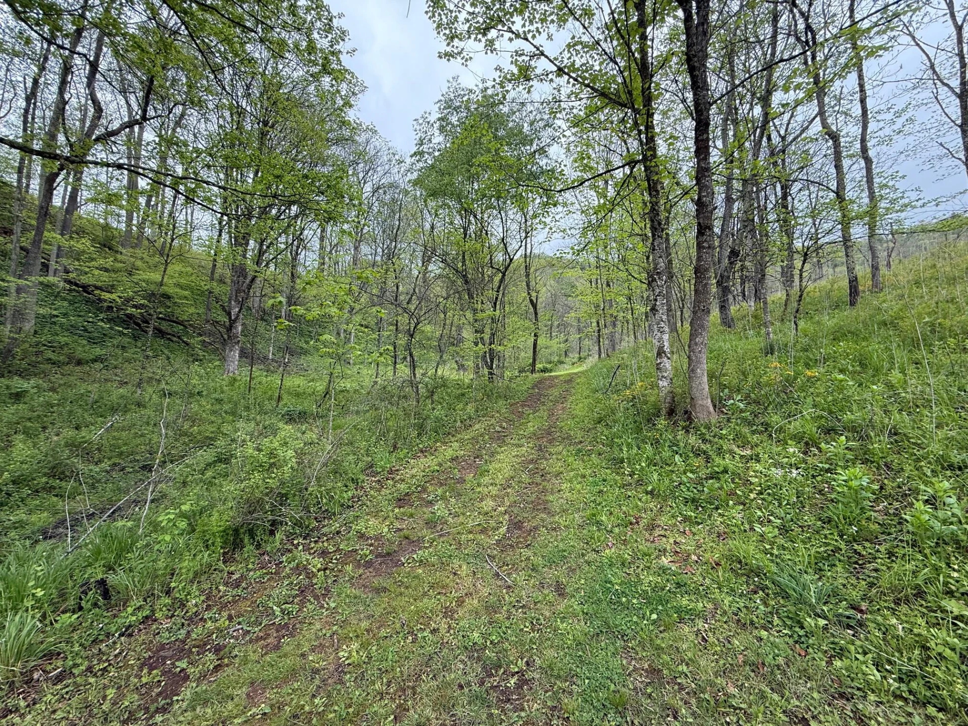 2468 Valley Center RD - Photo 26