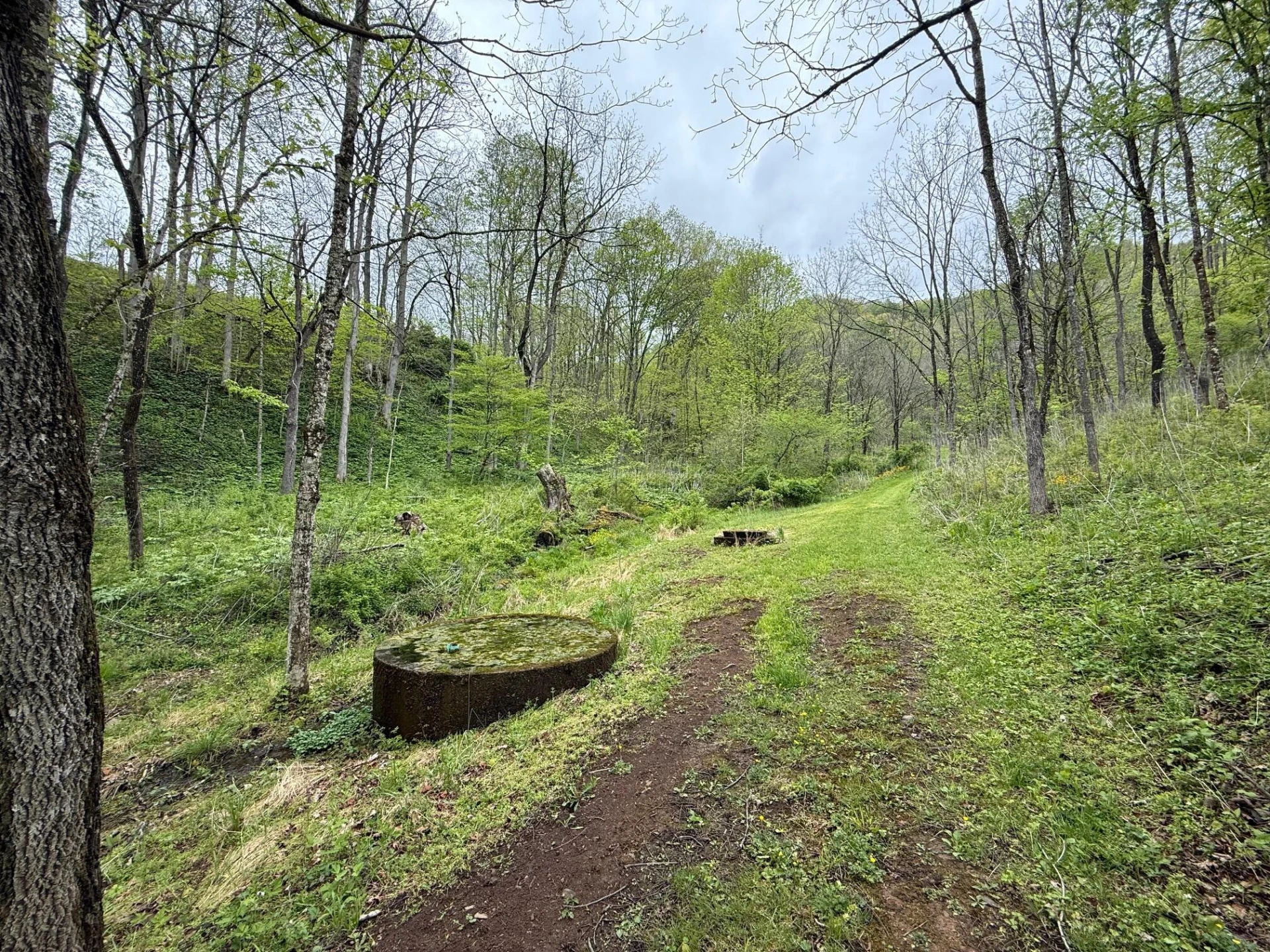 2468 Valley Center RD - Photo 27
