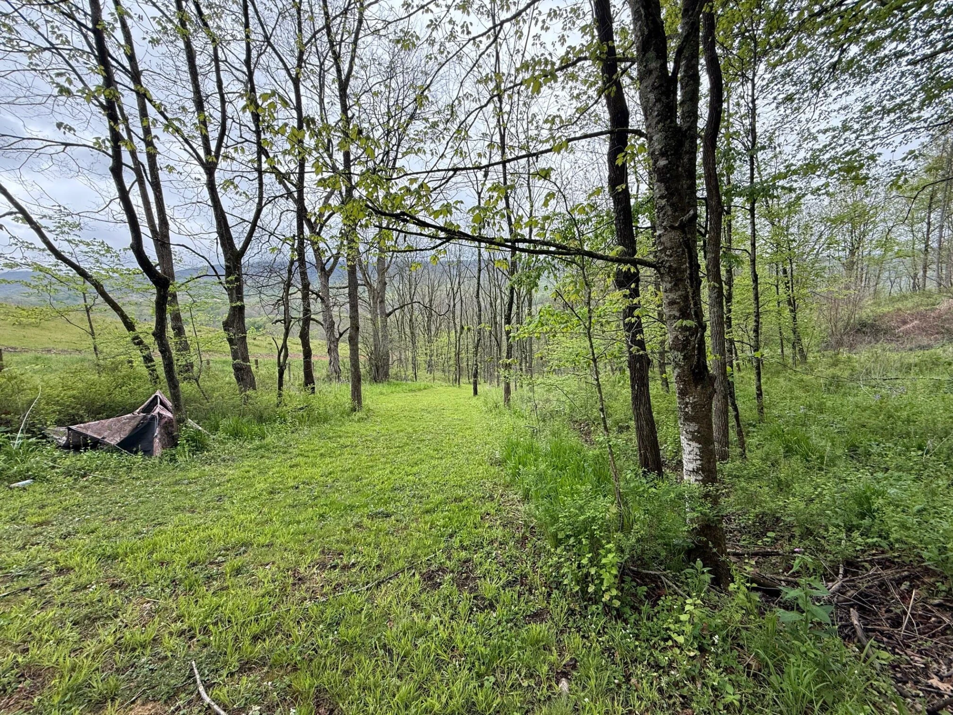 2468 Valley Center RD - Photo 28