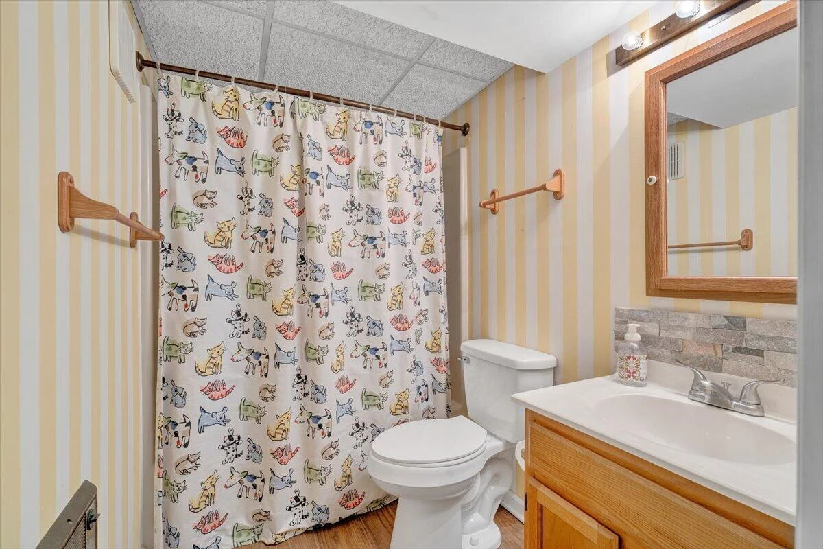 216 Pine Knob CIR - Photo 48