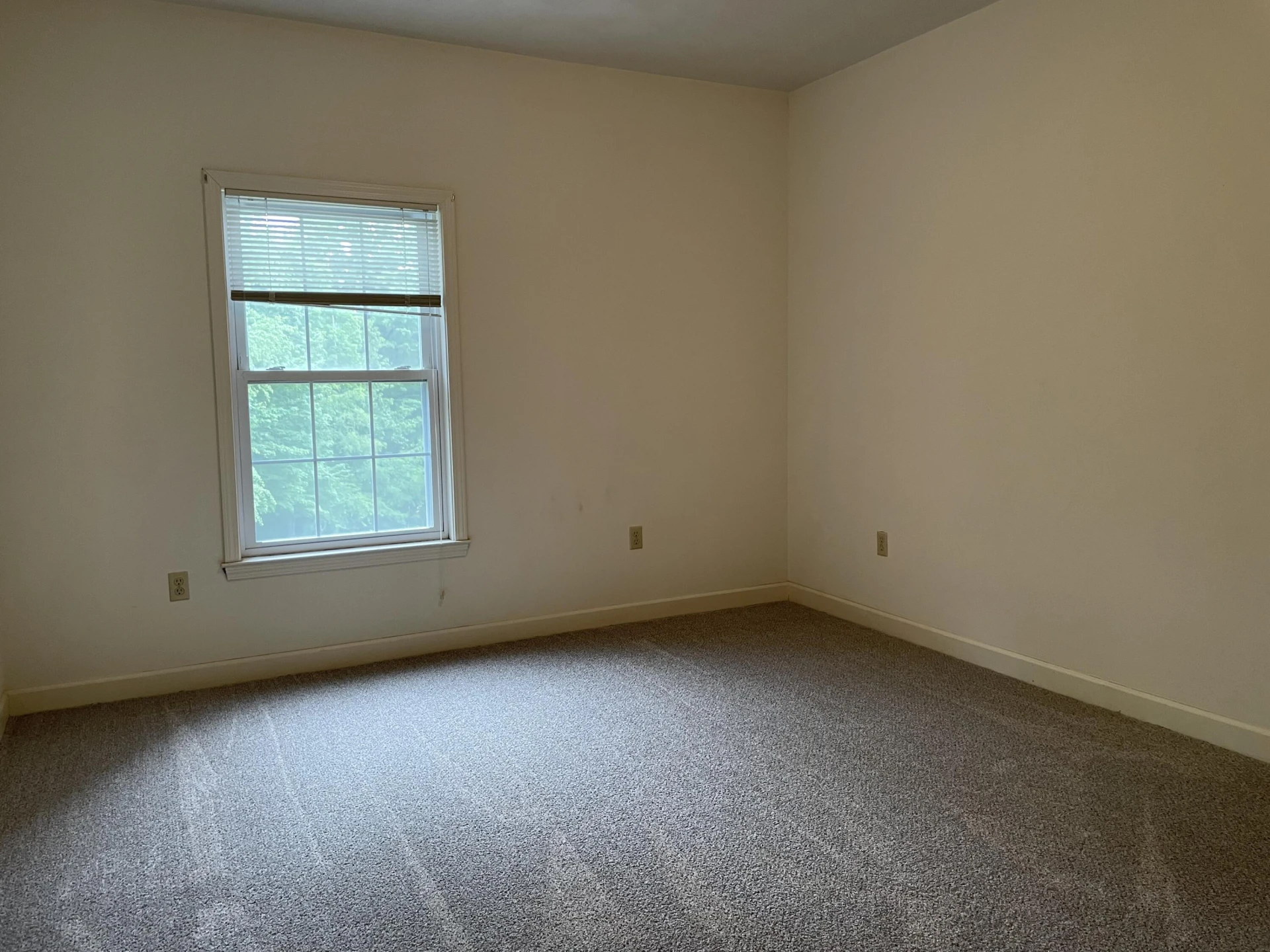 3060 Mcvitty Forest DR #211 - Photo 15