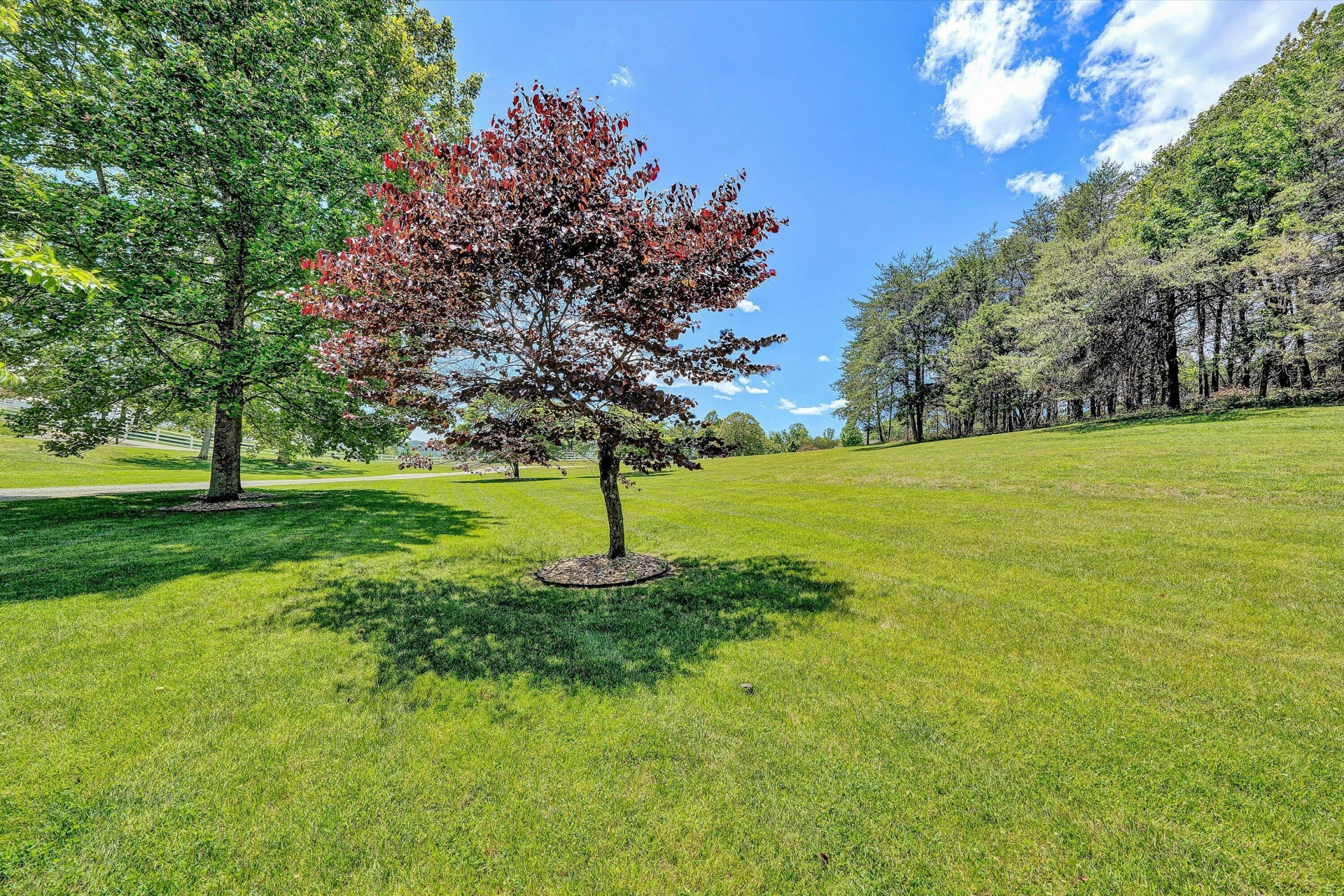 120 Stonelea DR - Photo 70