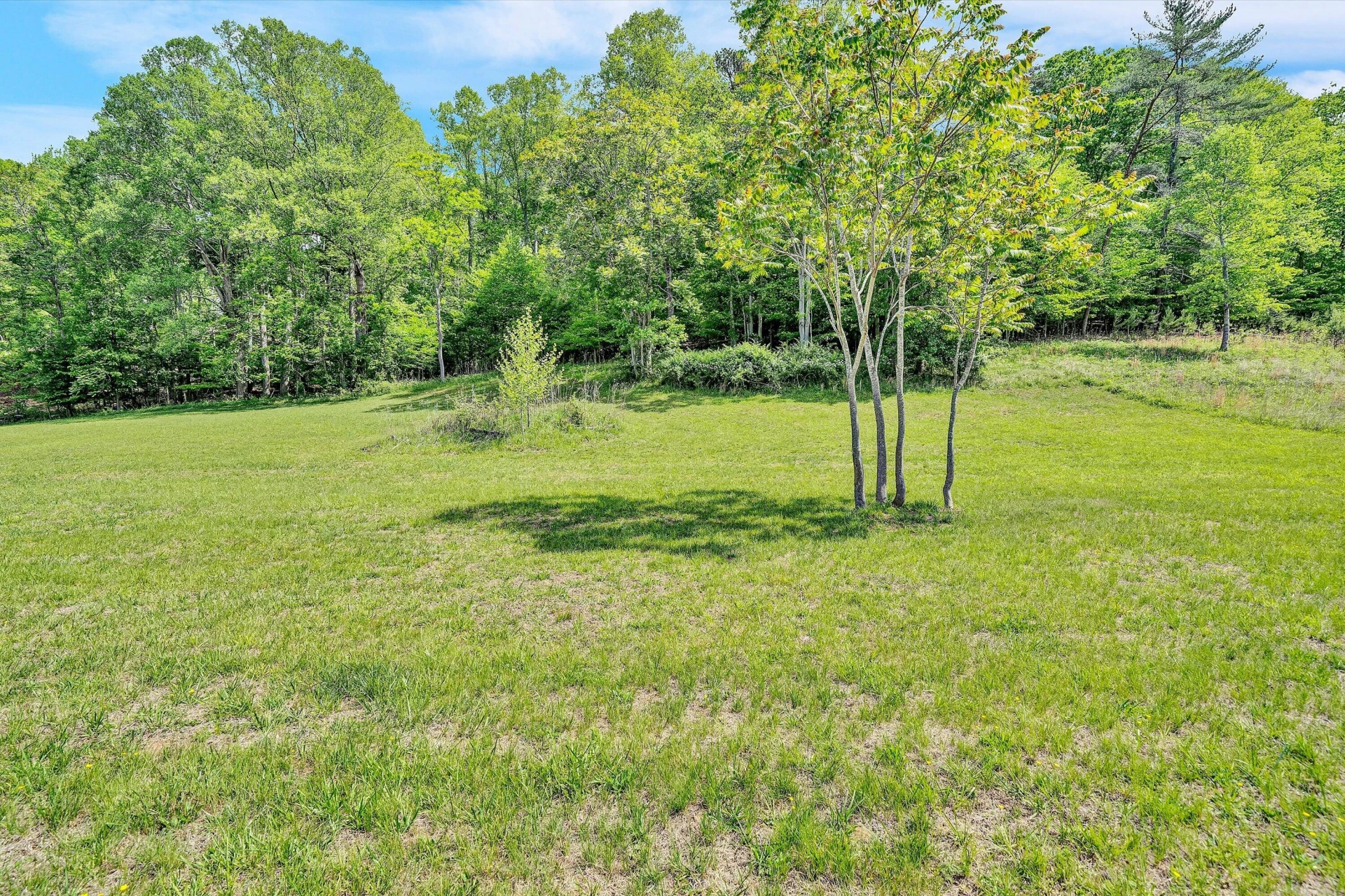 Lot 26 River Rock RD - Photo 10