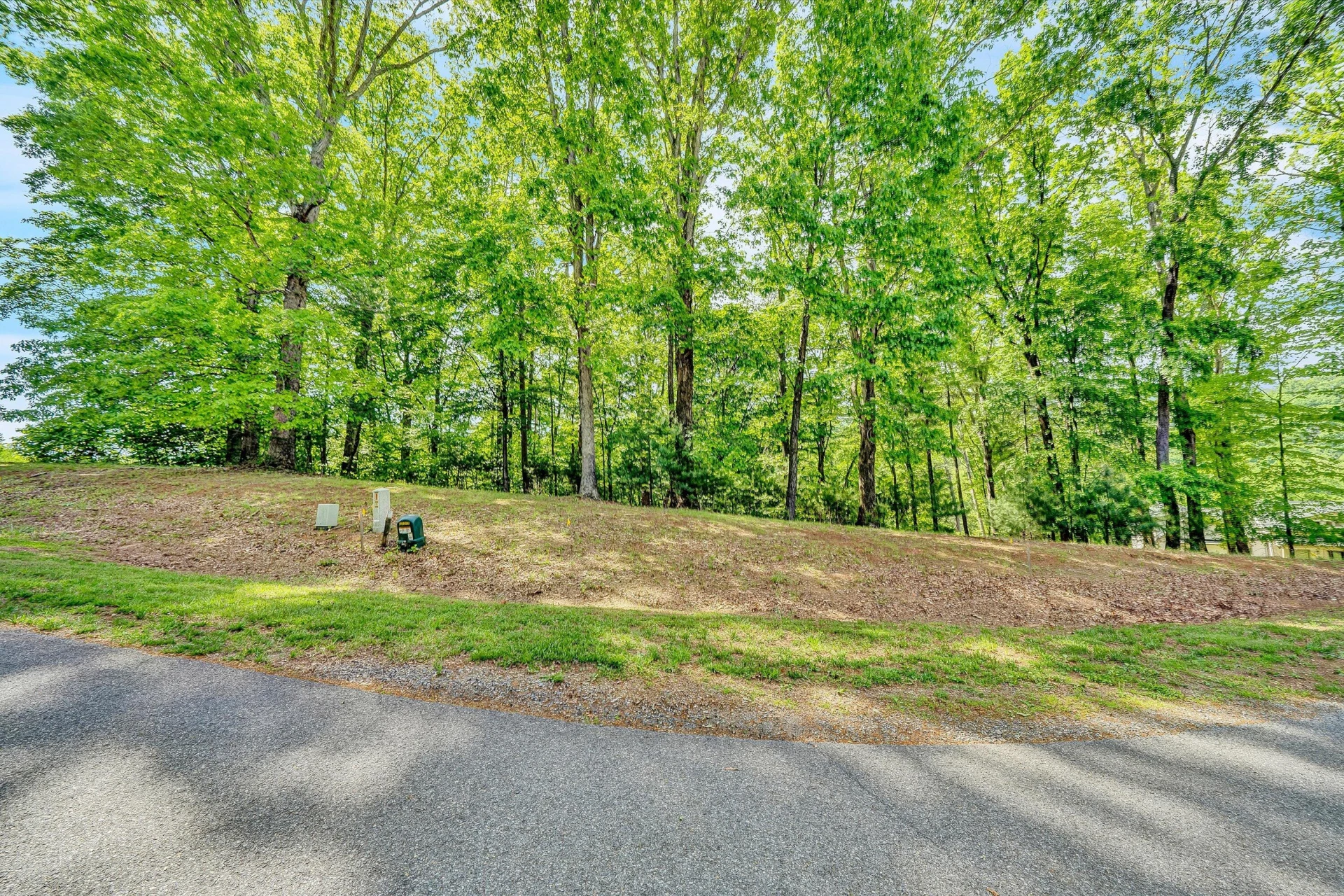 Lot 27 River Rock RD - Photo 4