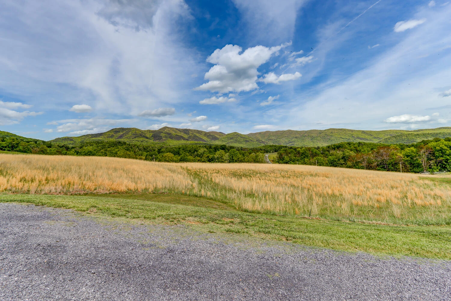 11790 Narrow Passage RD - Photo 40