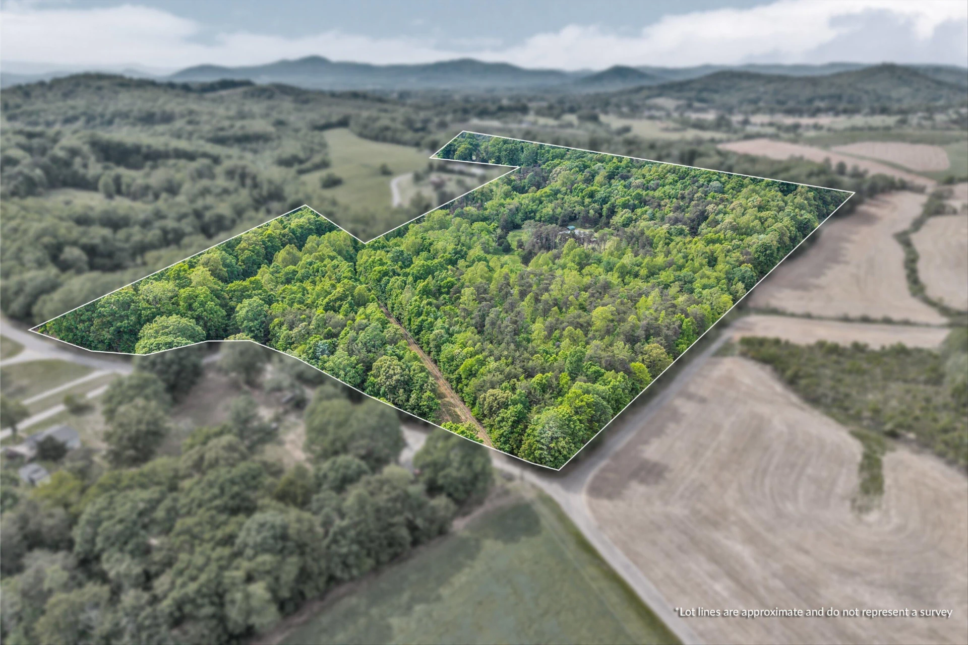 2296 Sandy Level RD - Photo 2