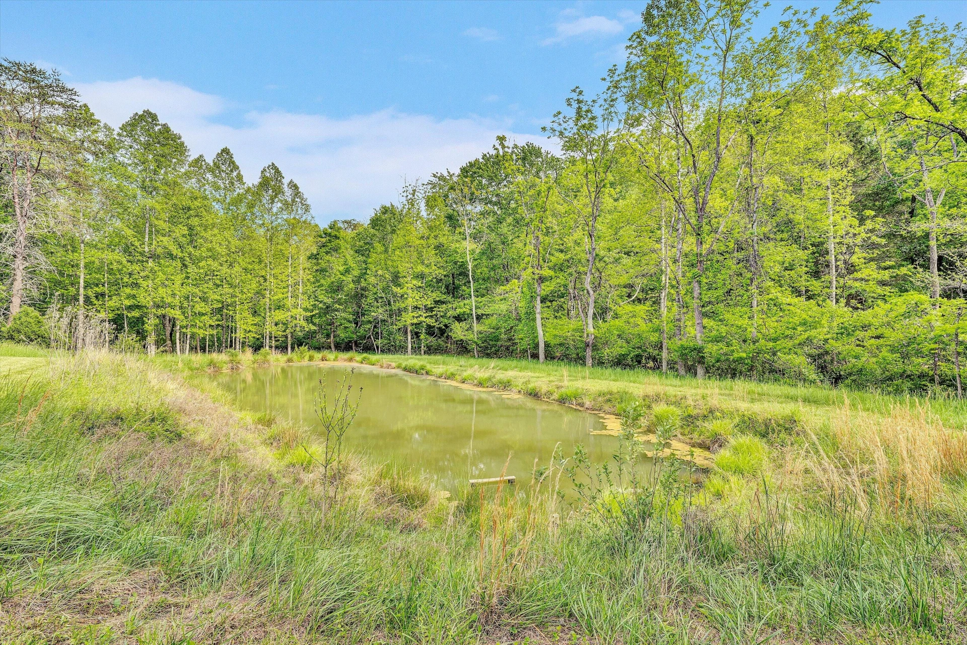 2296 Sandy Level RD - Photo 42