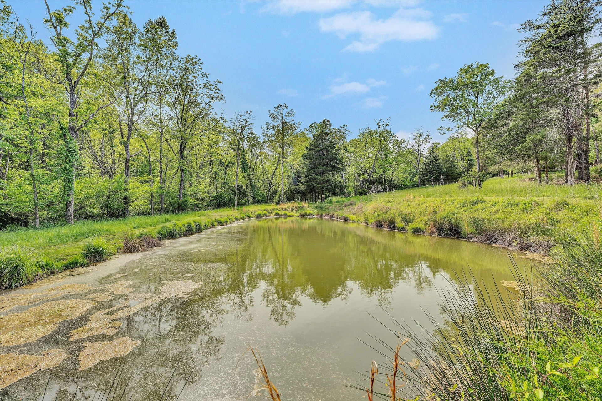 2296 Sandy Level RD - Photo 43