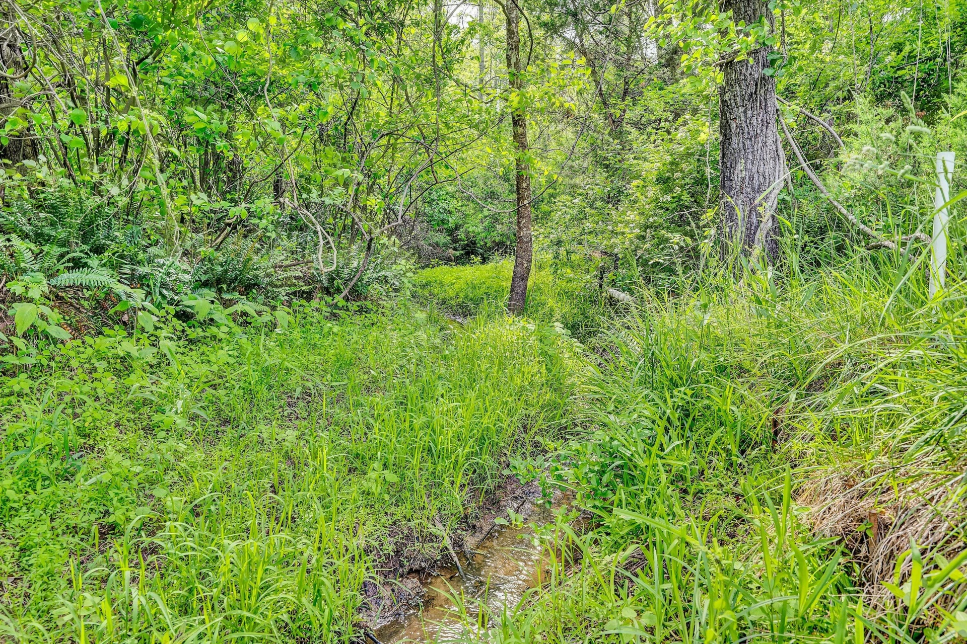 2296 Sandy Level RD - Photo 45