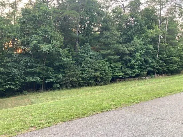 Lot 28 Freedom LN, Wirtz, VA, 24184