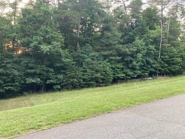 Lot 28 Freedom LN