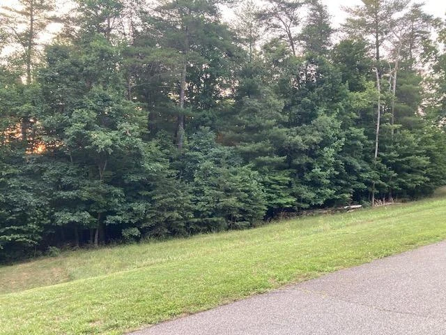Lot 28 Freedom LN - Photo 4