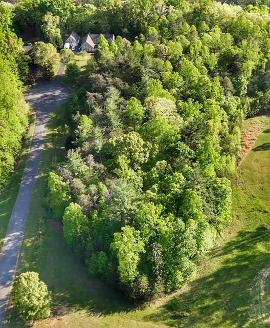 Lot 28 Freedom LN - Photo 8