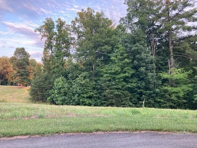 Lot 30 Revolution RD - Photo 2
