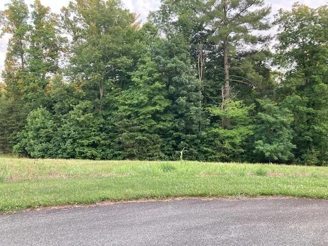 Lot 30 Revolution RD - Photo 4