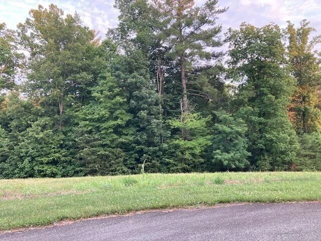 Lot 30 Revolution RD - Photo 5