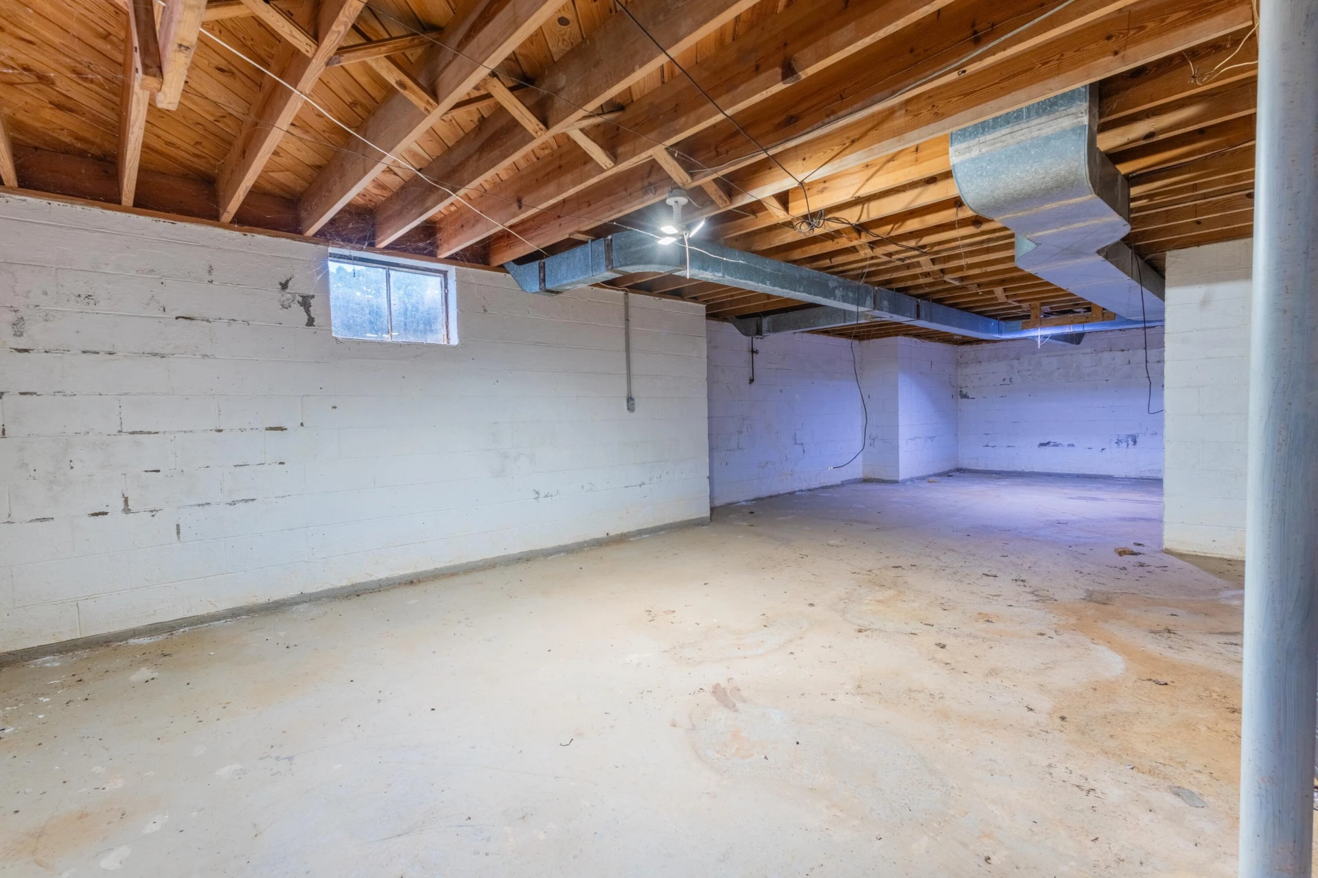 60 Whitten ST - Photo 20