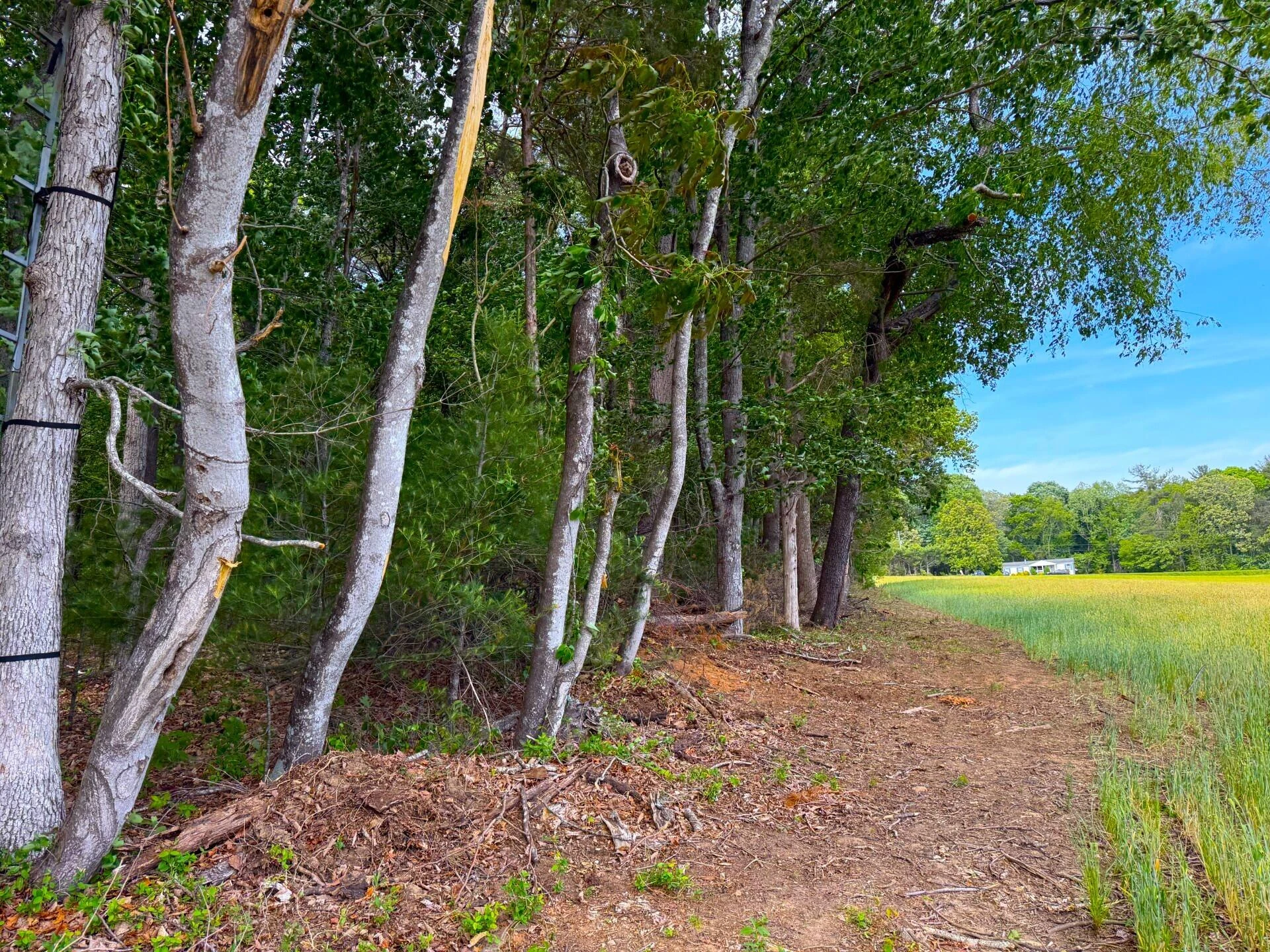 183 Pernello RD - Photo 14