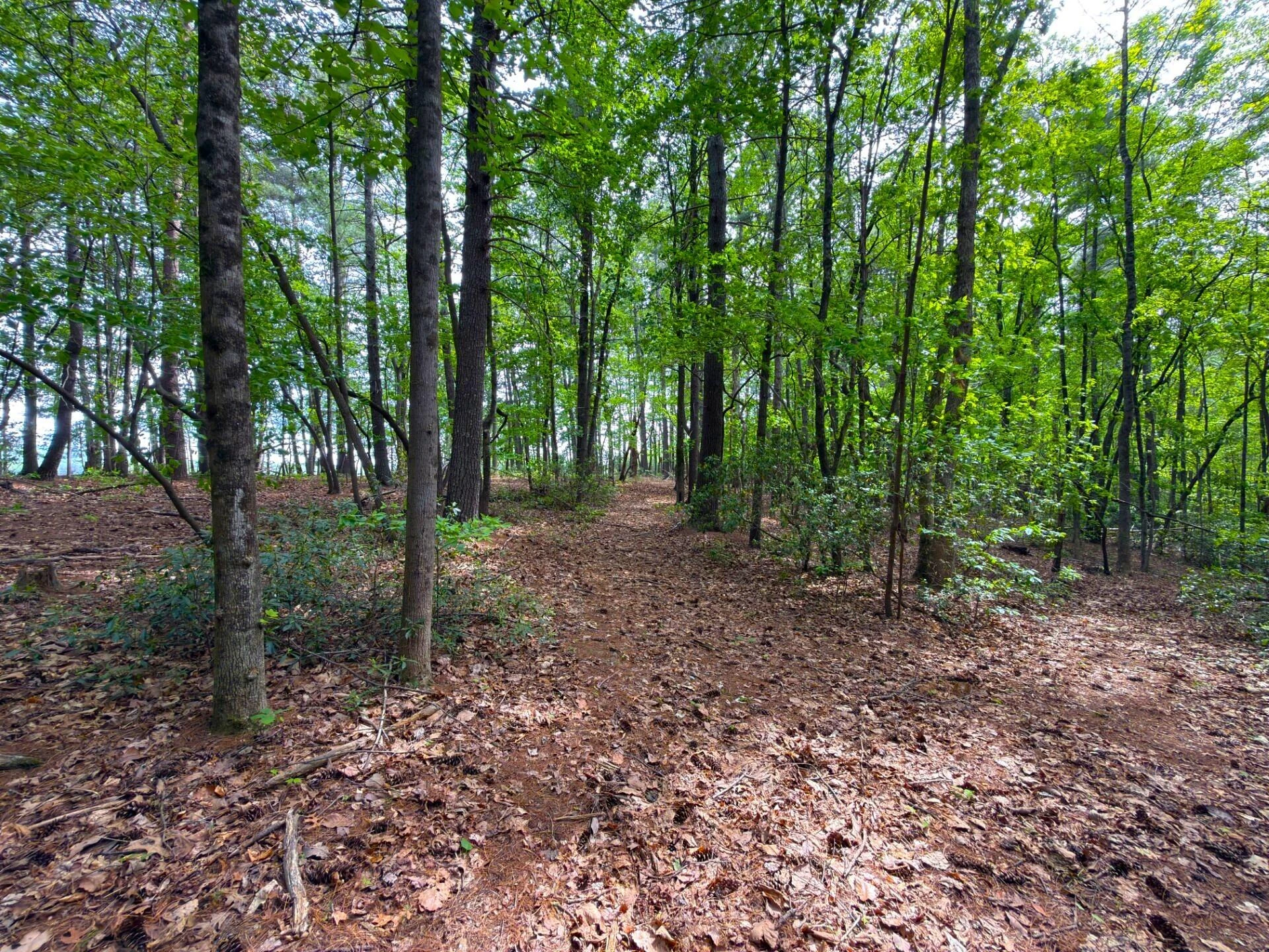 183 Pernello RD - Photo 17